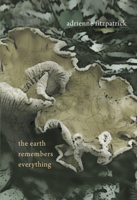Book cover of: Earth Remembers Everything