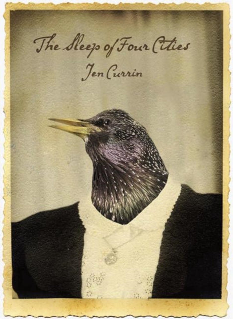Book cover of: Sleep of Four Cities, The. By: Jen Currin