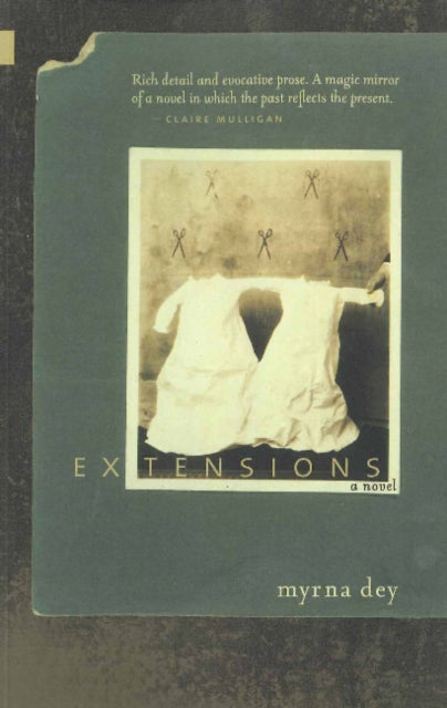 Book cover of: Extensions