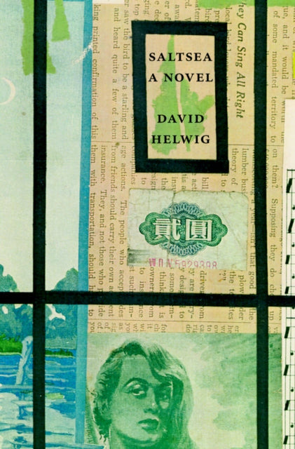 Book cover of: Saltsea. By: David Helwig