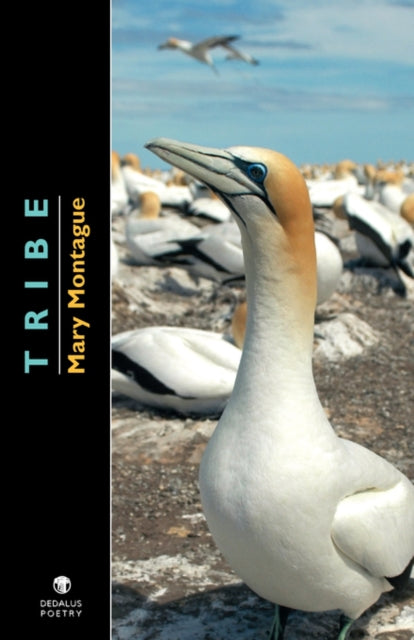Book cover of: Tribe. By: Mary Montague