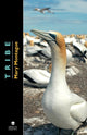 Book cover of: Tribe. By: Mary Montague
