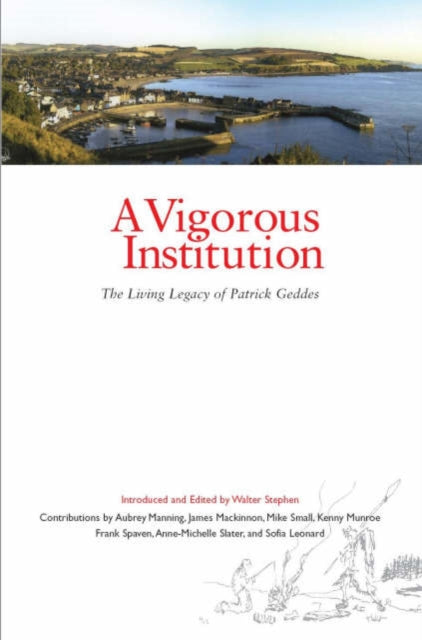 Book cover of: Vigorous Institution. By: Aubrey Manning
