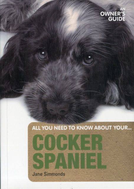 Cocker Spaniel