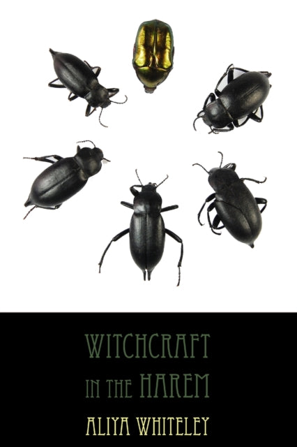 Book cover of: Witchcraft in the Harem. By: Aliya Whiteley