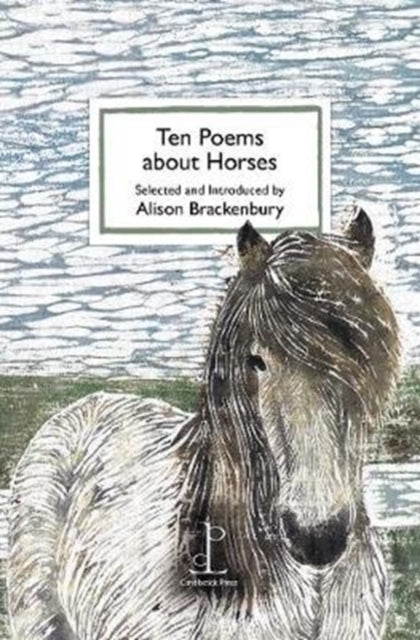 Ten Poems about Horses 9781907598791 Alison Brackenbury
