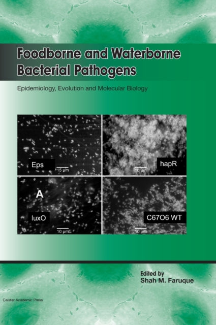 Book cover of: Foodborne and Waterborne Bacterial Pathogens: Epidemiology, Evolution and Molecular Biology