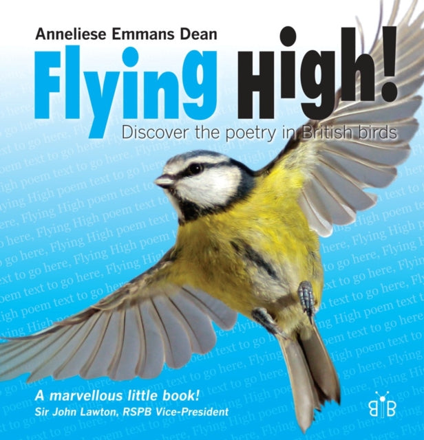 Book cover of: Flying High
