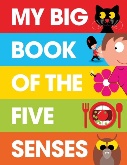 Book cover of: My Big Book of the Five Senses