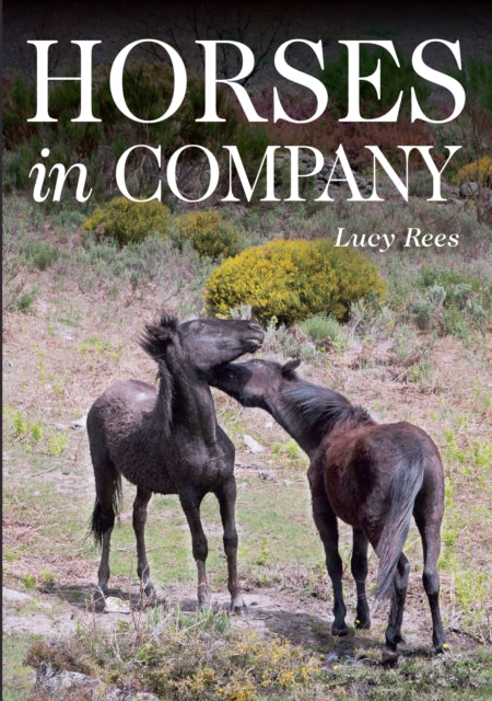 Book cover of: Horses in Company. By: Lucy Rees