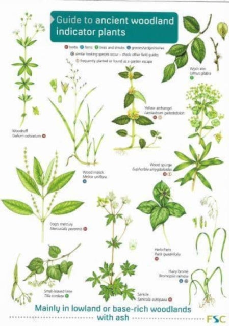 Book cover of: Guide to Ancient Woodland Indicator Plants