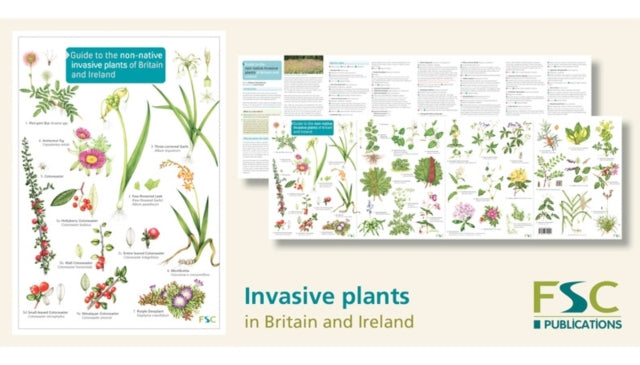 Book cover of: Guide to the non-native invasive plants of Britain and Ireland