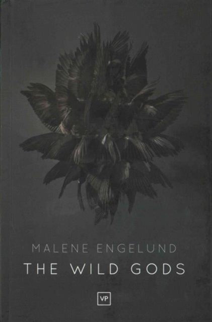 Book cover of: Wild Gods. By: Malene Engelund
