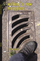 Book cover of: Walking's New Movement. By: Phil Smith