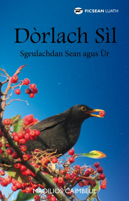 Book cover of: Dorlach Sil. By: Myles Campbell