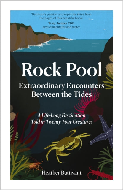 Book cover of: Rock Pool. By: Heather Buttivant