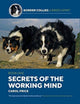 Book cover of: Secrets Of The Working Mind