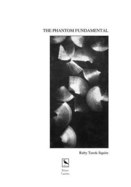 Book cover of: Phantom Fundamental