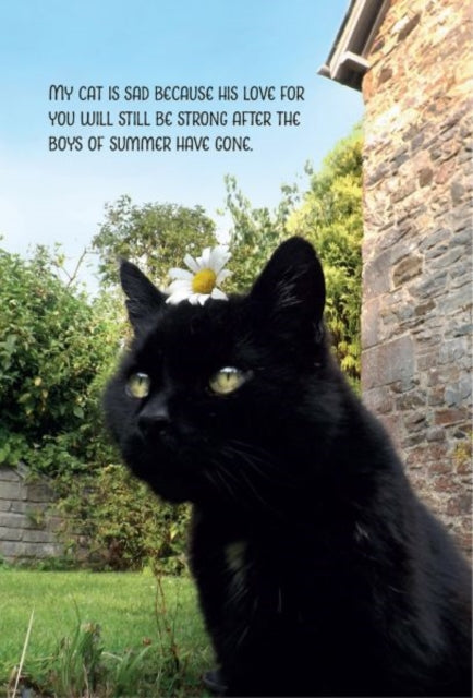 Book cover of: My Sad Cat Notebook. By: Tom Cox