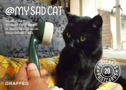 Book cover of: My Sad Cat Postcard Pack. By: Jackie Morris