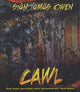 Book cover of: Cawl. By: Siôn Tomos Owen
