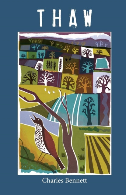 Book cover of: Thaw