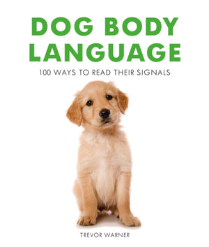 Dog Body Language