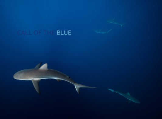 Book cover of: Call of the Blue. By: Philip Hamilton