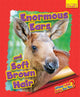 Book cover of: Whose Little Baby Are You? Enormous Ears and Soft Brown Hair