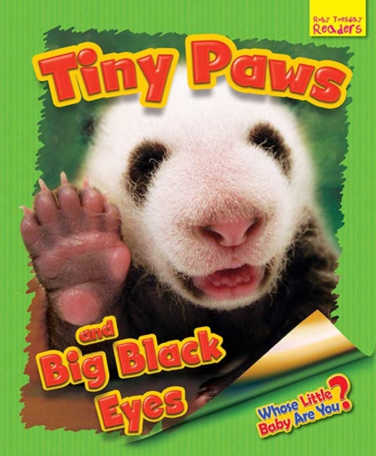 Book cover of: Whose Little Baby Are You? Tiny Paws and Big Black Eyes