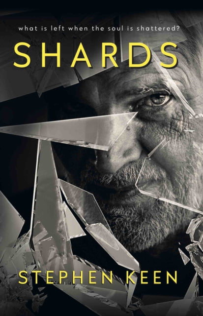 Book cover of: Shards