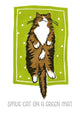 Book cover of: Jo Cox Poster: Smug Cat on a Green Mat