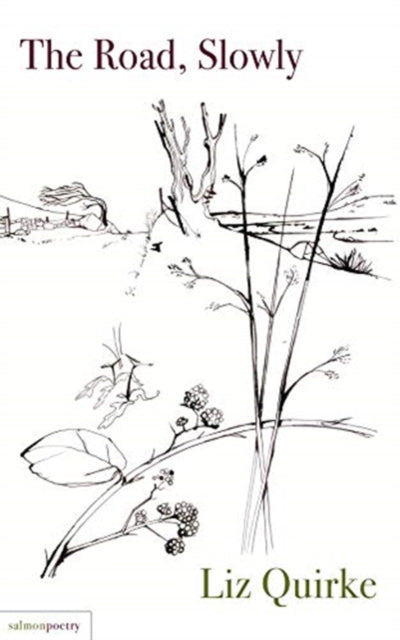 Book cover of: Road, Slowly. By: QUIRKE