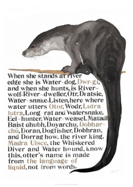 Book cover of: Jackie Morris Poster: Names of the Otter, The