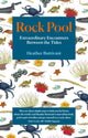 Book cover of: Rock Pool. By: Heather Buttivant