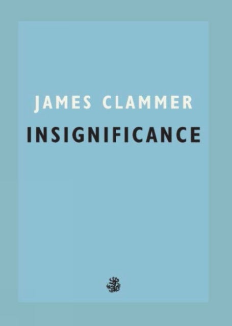 Book cover of: Insignificance. By: James Clammer