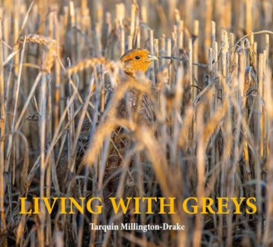 Book cover of: Living with Greys. By: Tarquin Millington-Drake