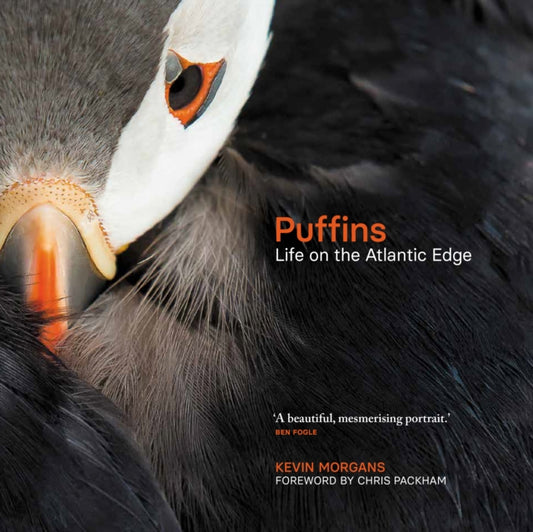 Book cover of: Puffins. By: Kevin Morgans