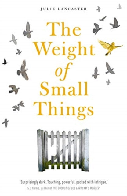 Book cover of: Weight of Small Things. By: Julie Lancaster