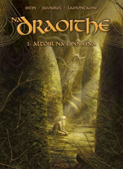 Book cover of: Na Draoithe 2: Altoir na Cinniuna