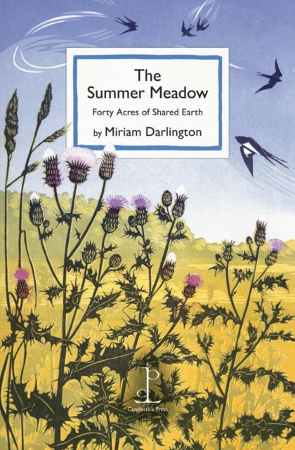 Summer Meadow, Forty Acres of Shared Earth 9781913627423 Poems by E. J. Scovell Miriam Darlington
