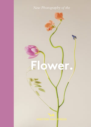 Flower., New Photography of the