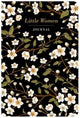 Book cover of: Little Women Journal - Lined. By: Chiltern Publishing