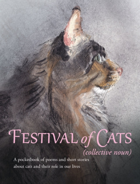 Festival of Cats
