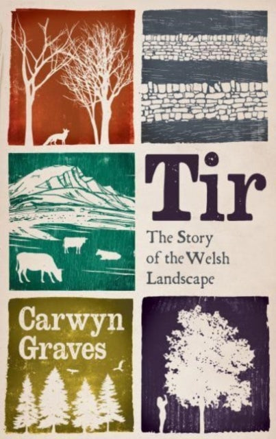 Tir, The Story of the Welsh Landscape 9781915279668 GRAVES