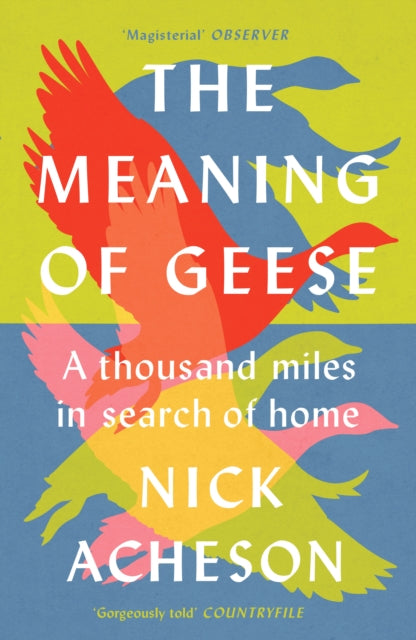 Book cover of: Meaning of Geese. By: Nick Acheson