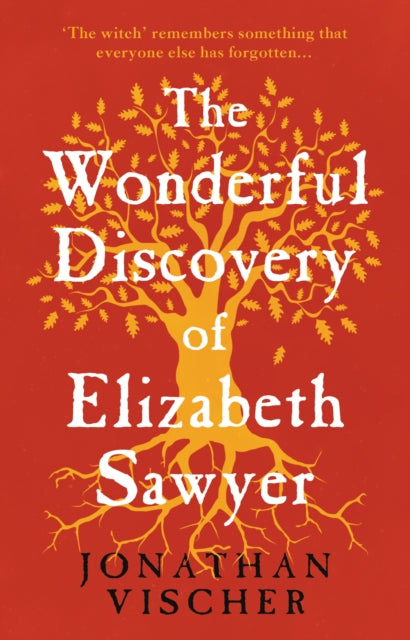 Book cover of: Wonderful Discovery of Elizabeth Sawyer. By: Jonathan Vischer