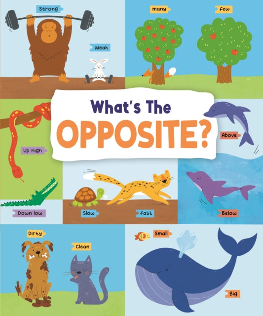 Book cover of: What's the Opposite?. By: John Allan