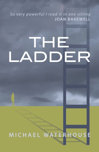 Book cover of: Ladder