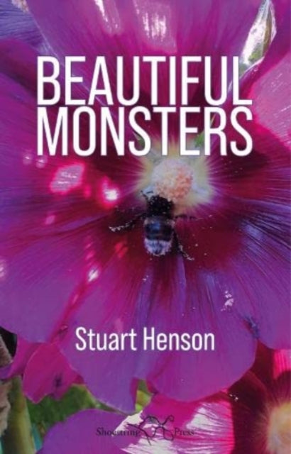 Book cover of: Beautiful Monsters. By: Stuart Henson